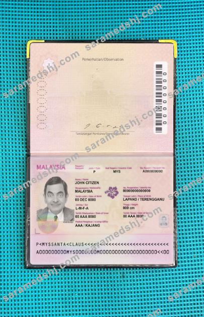 Malaysia passport (2010-2017) photo look
